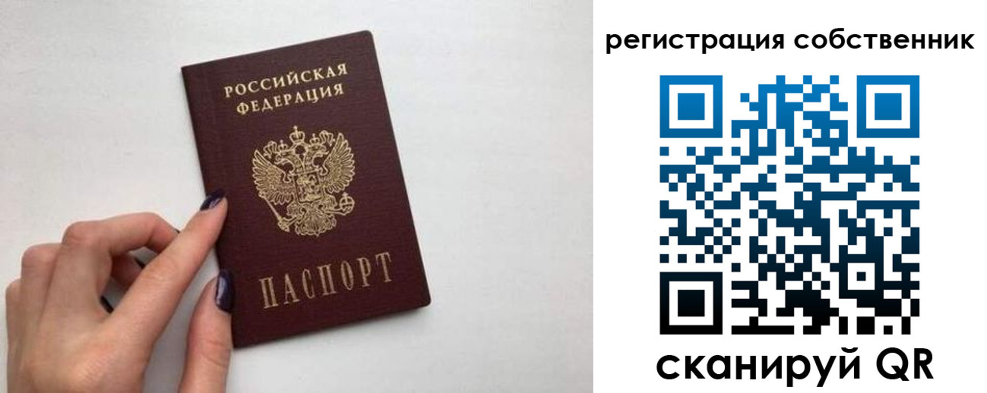 временная регистрация для всех в Димитровграде